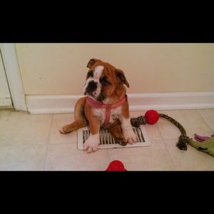 Meet your Posher, Michael